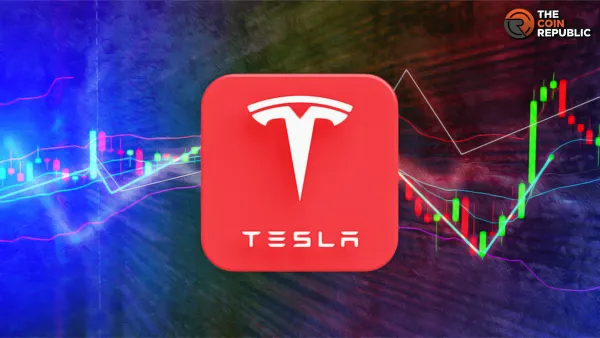 Tesla (TSLA) Stock Valuation & Investment Thesis – 2025 Outlook